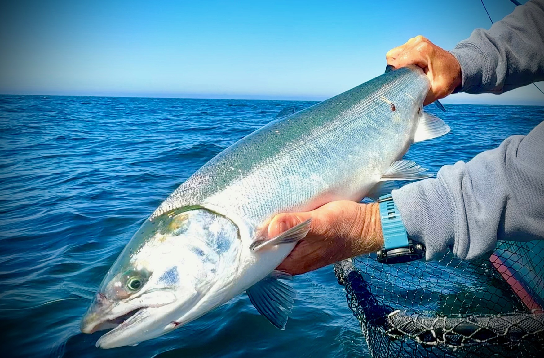 It’s a Hot Coho Season!