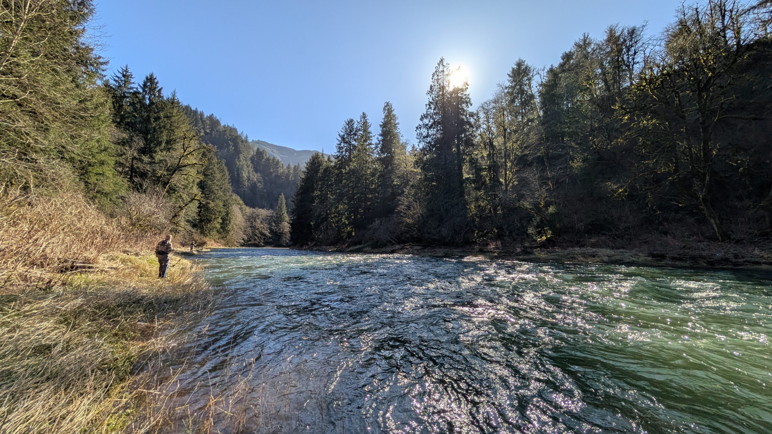 Maximizing Winter Steelhead Success: 5 Essential Keys