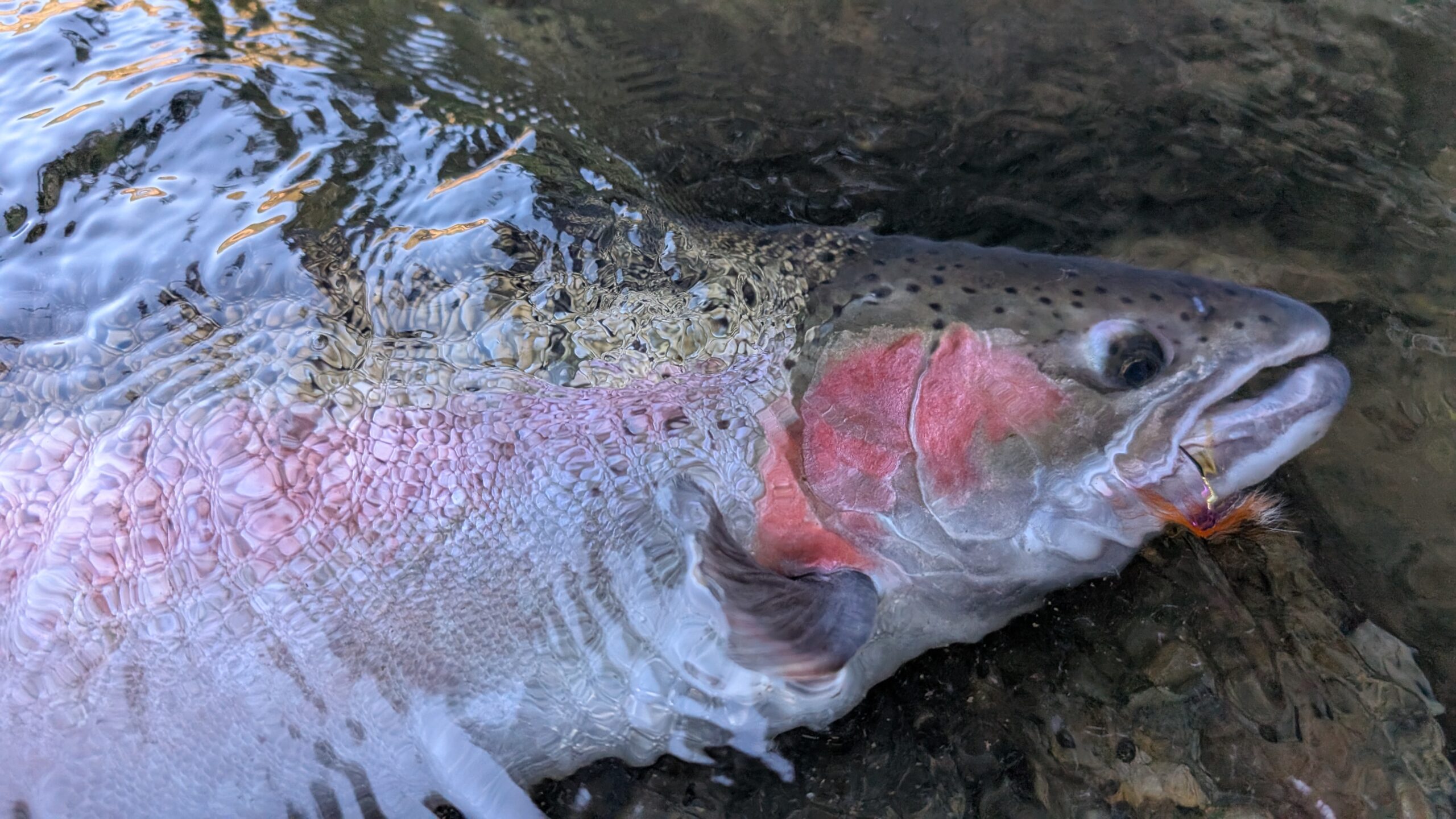 Connect Outfitters